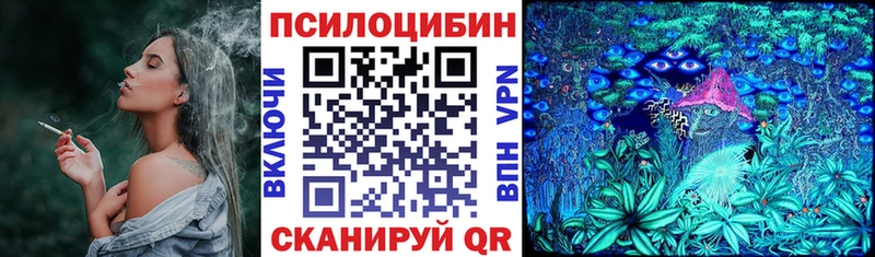 купить наркоту  Щучье  Псилоцибиновые грибы мухоморы 